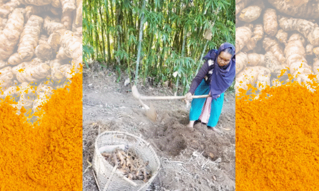 Sustainable September: The Story Aranyam Naturals Lives By