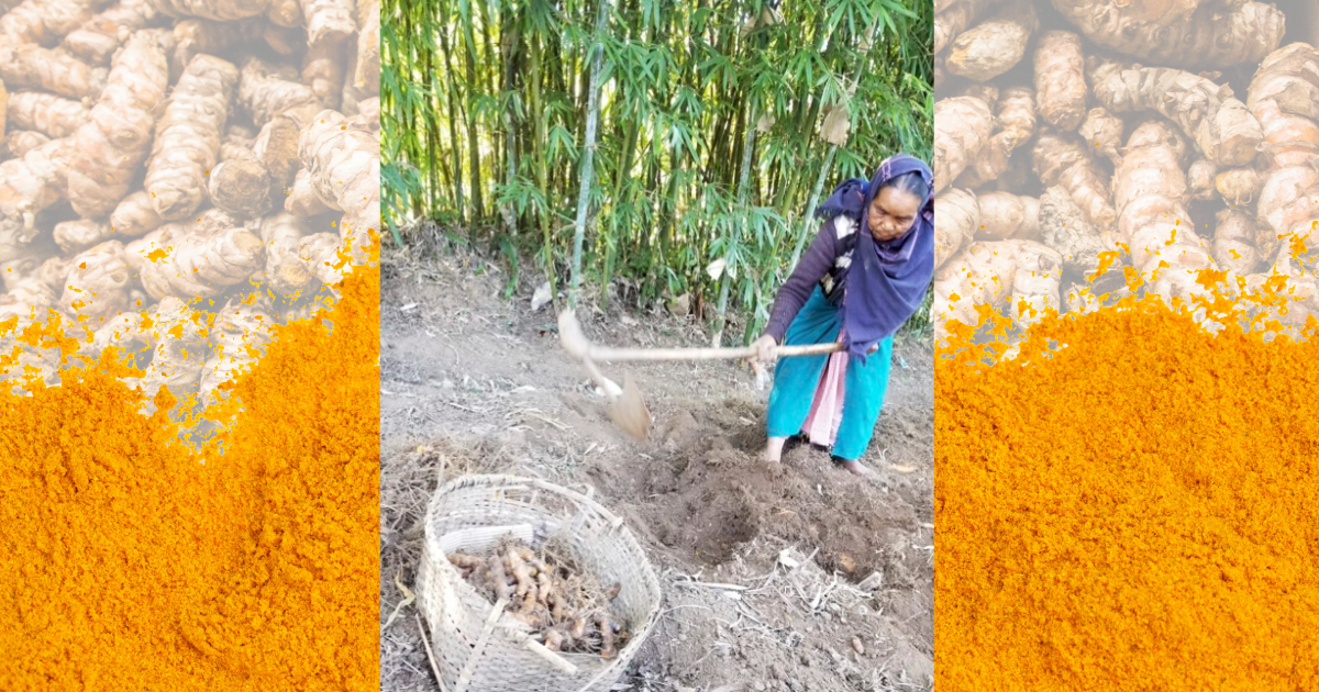 Sustainable September: The Story Aranyam Naturals Lives By