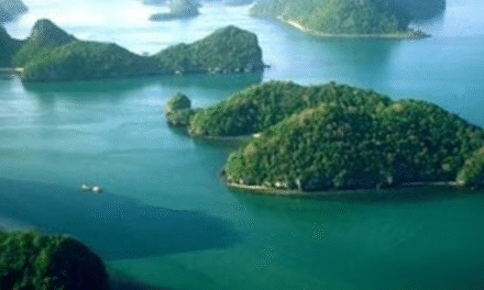 Discover the Allure of Offbeat Travel: Why the Andamans Await