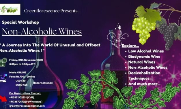 Explore The World of Non-Alcoholic Wines