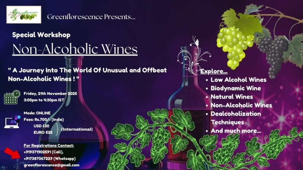 Explore The World of Non-Alcoholic Wines