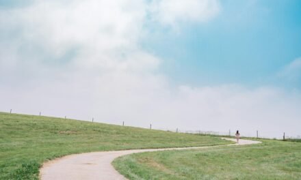 Follow Your Own Path (BlogChain)