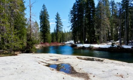 Follow Your Own Path (BlogChain)